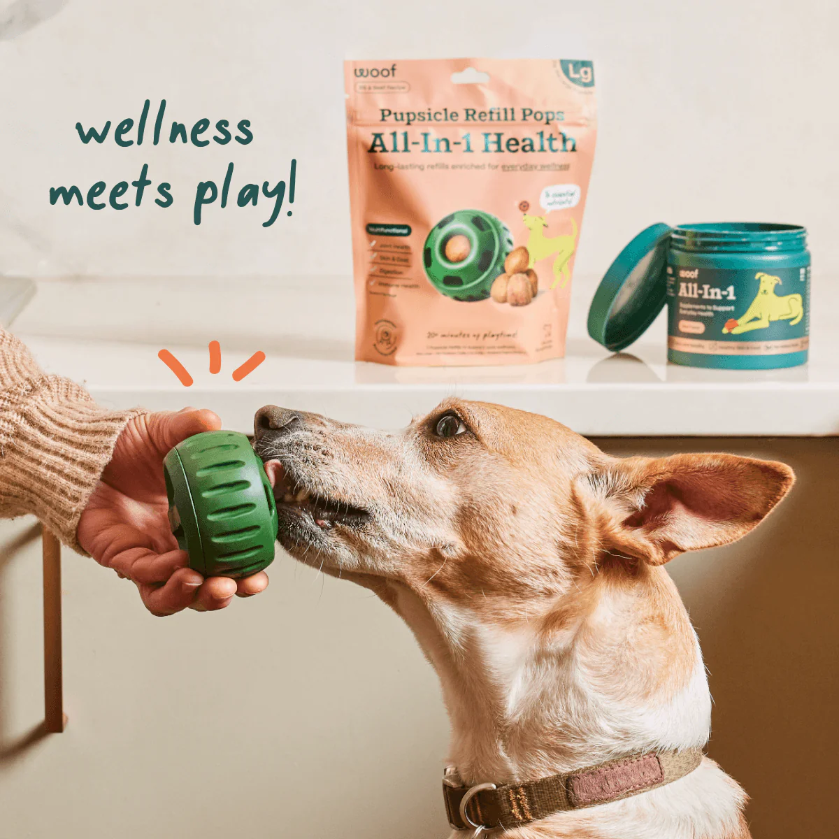 All-In-1 Wellness Pops - Image 5